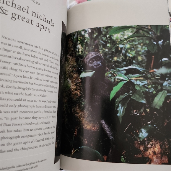 National Geographic The Wildlife Photographs Hardcover Book - Picture 8 of 9